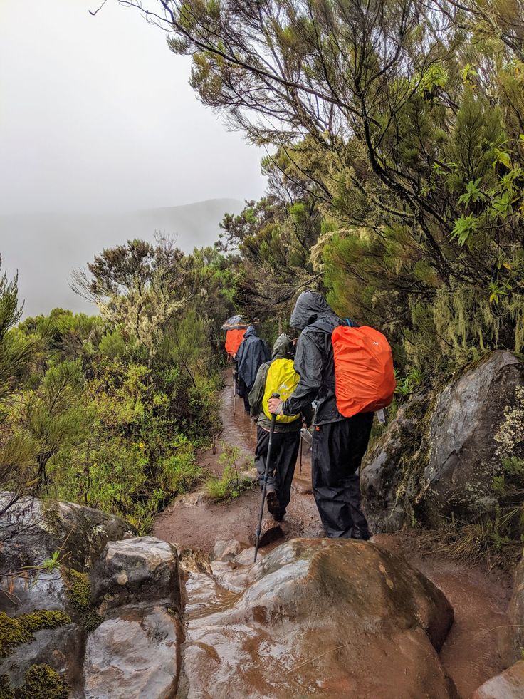 Rongai Route Kilimanjaro - 7 Day Northern Approach